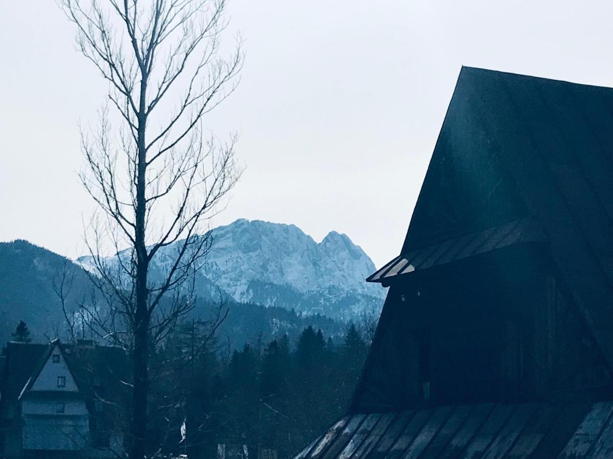 Willa Pod Gorami Zakopane Exteriör bild